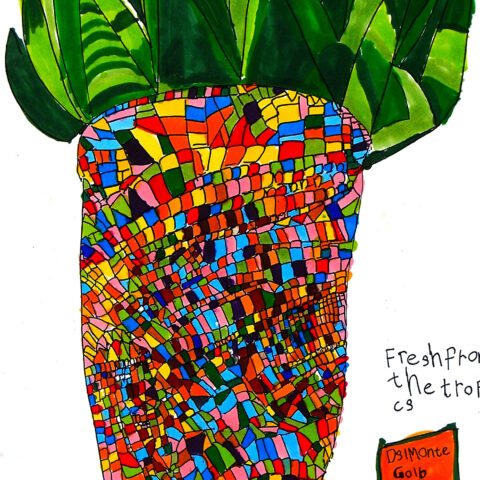 杉浦愛菜「パイナップル」