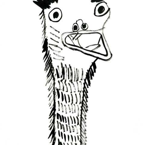 園田康貴「ダチョウ」