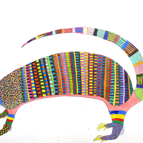 河村竜太郎「アルマジロ」