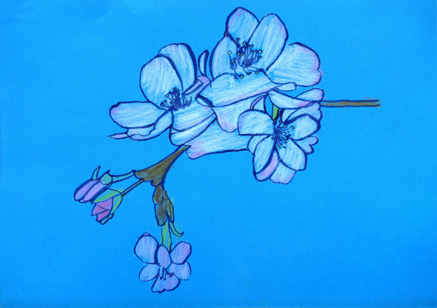 小杉富士夫「桜」