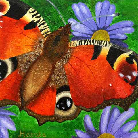 提坂帆乃夏「蝶」