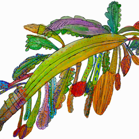 大石理央「植物」