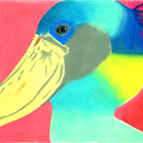 櫻井陽菜「ハシビロコウ」