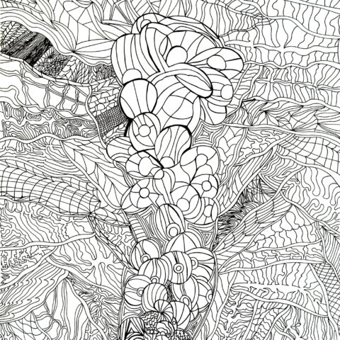 田中拓実「無題」