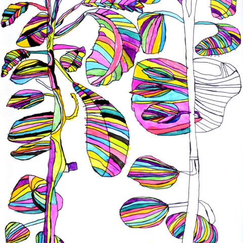 関谷早央「植物」