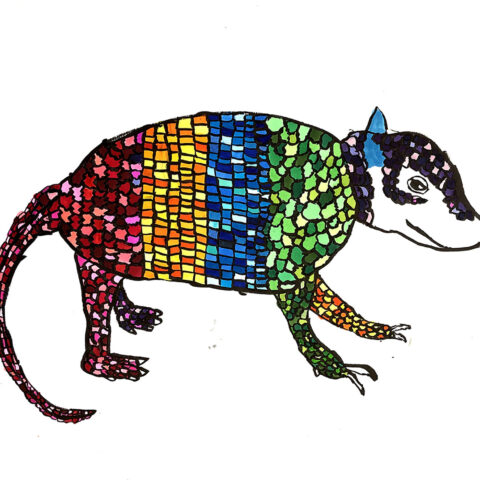 高原麻衣「アルマジロ」