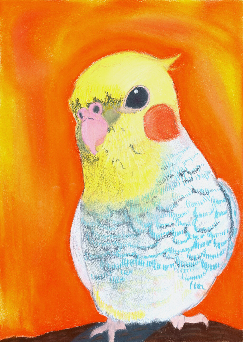 櫻井陽菜「オカメインコ」