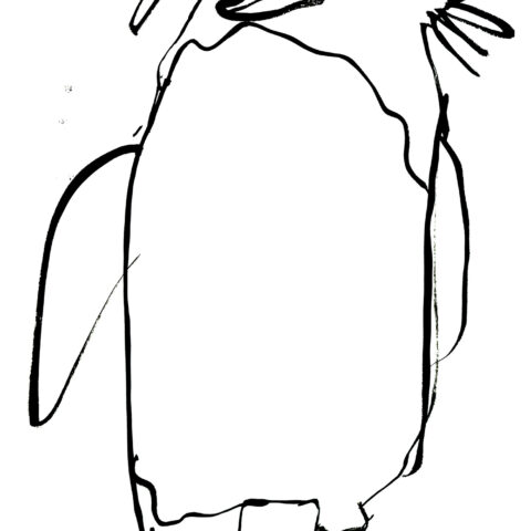 園田康貴「イワトビペンギン」