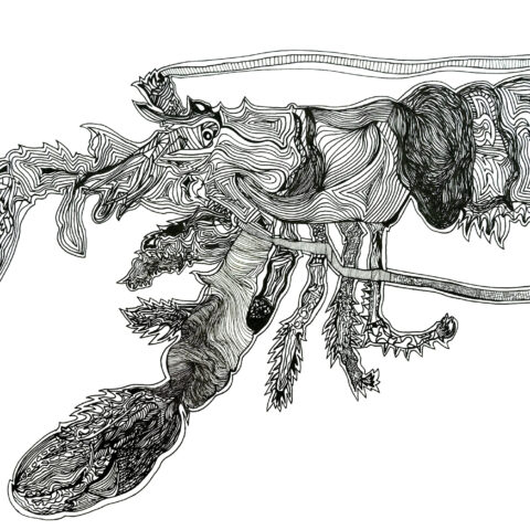 田中拓実「ザリガニ」