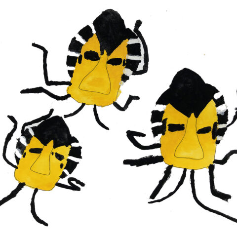 土屋瑠偉「カメムシ」