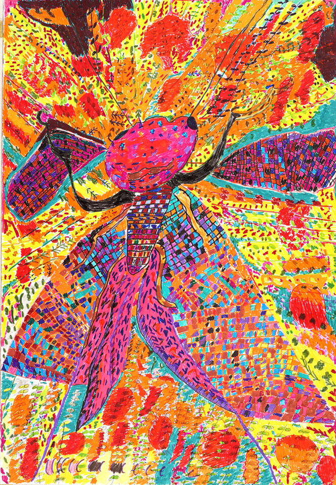 鈴木文明_とんぼ_515＊728