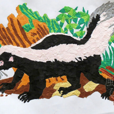 安田 幸大「スカンク」