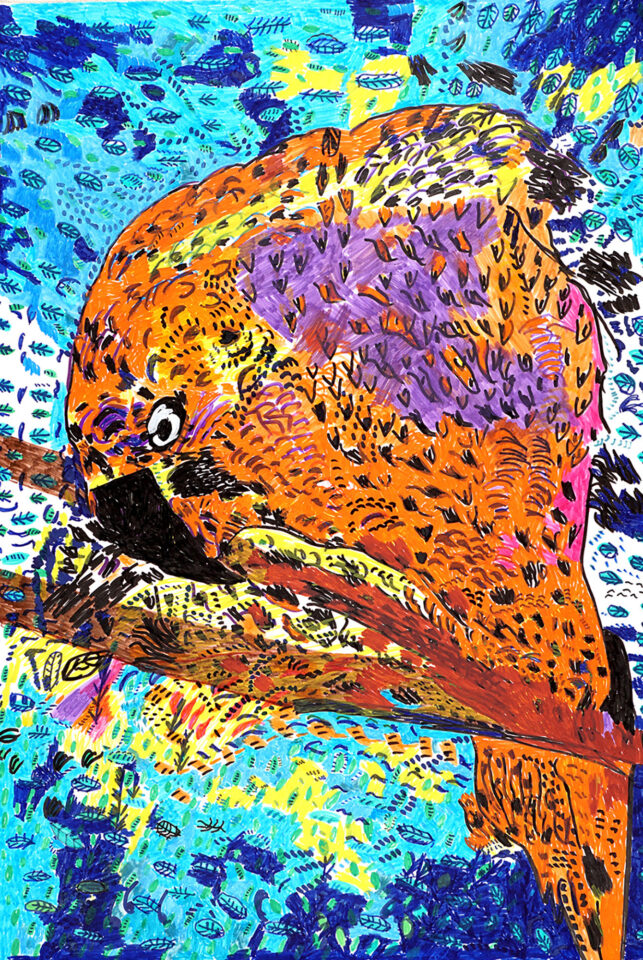 鈴木文明_鷹_728_515＊728