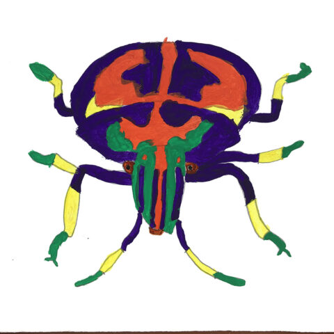 土屋瑠偉「カラフルな虫」