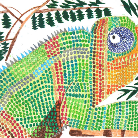 山崎孝「カメレオン」