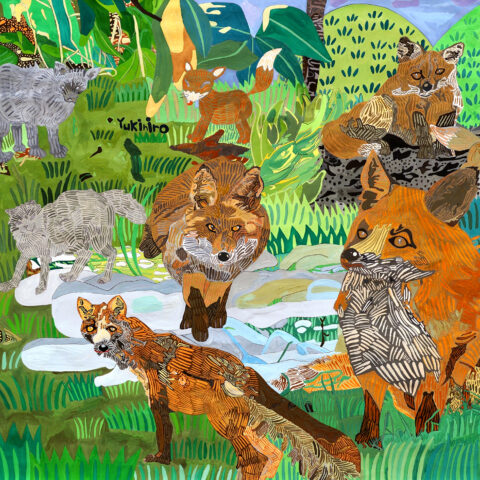 安田幸大「キツネの森」