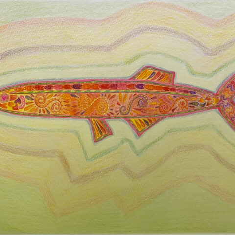 Tomoka「サンマ飛行」