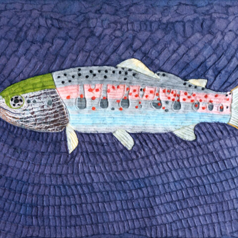 安間佐恵「アマゴ」