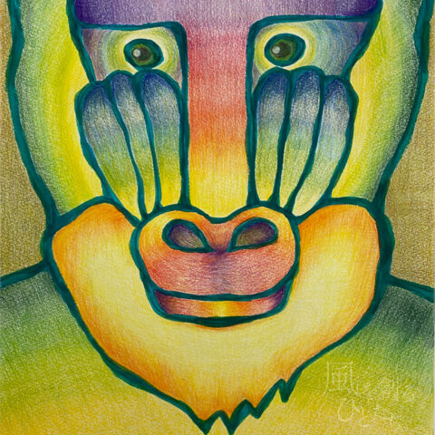 Tomoka「Tドリル」