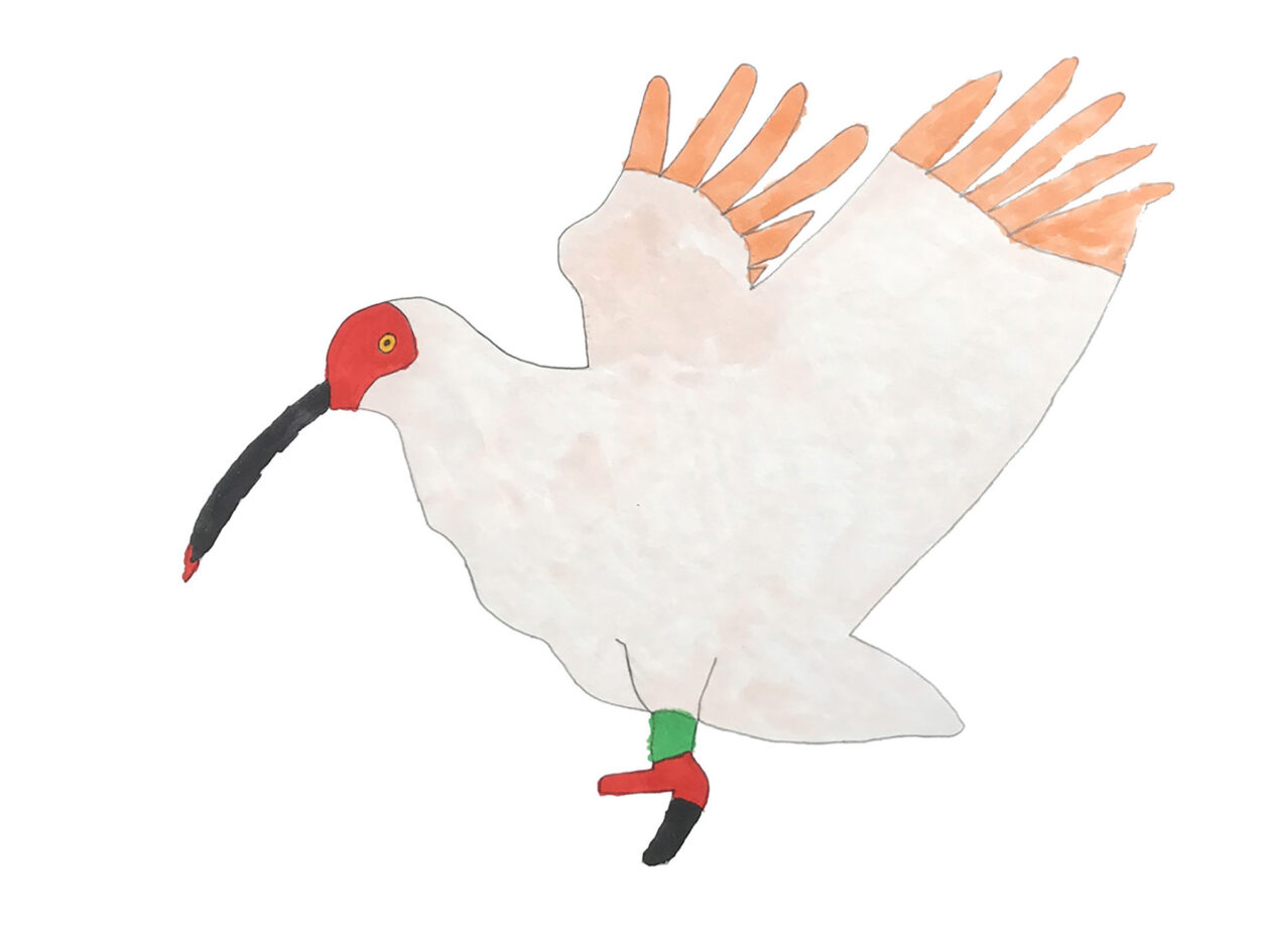 土屋瑠偉「こうのとり」