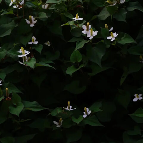 山田 哲也「無題 2」