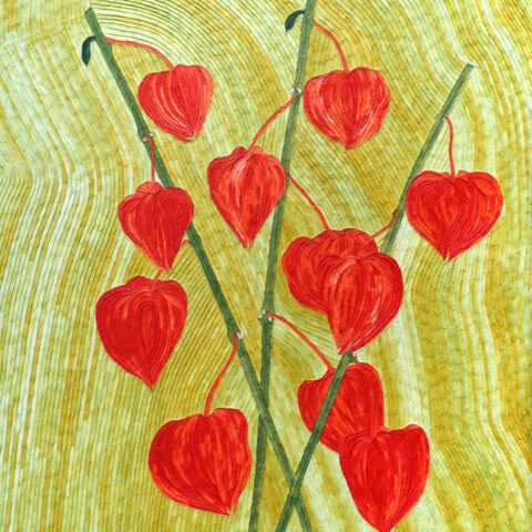 安間佐恵「ほおずき」