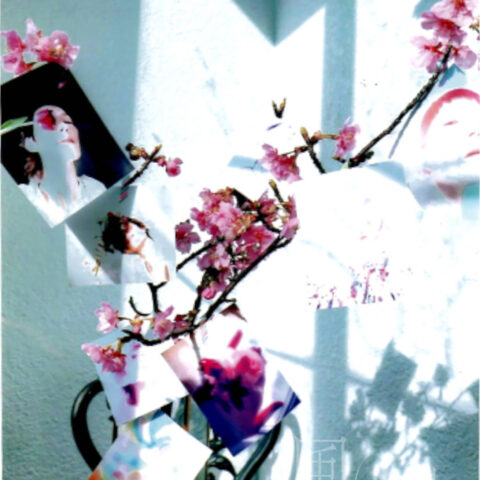 ゆら ゆらり「無題」