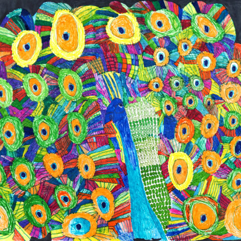 山崎孝「孔雀」