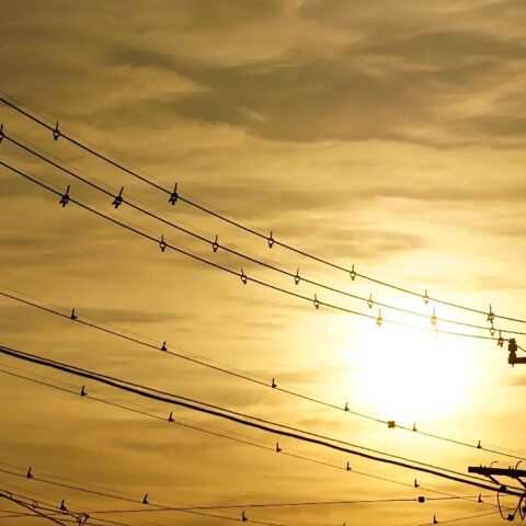 山田 哲也「無題 3」