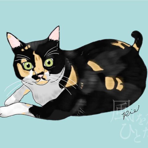 山中梨江「愛猫 -key-」