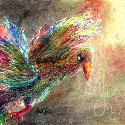 戸田健矢「さぁいきましょ」