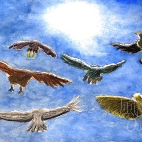 戸田健矢「成長」