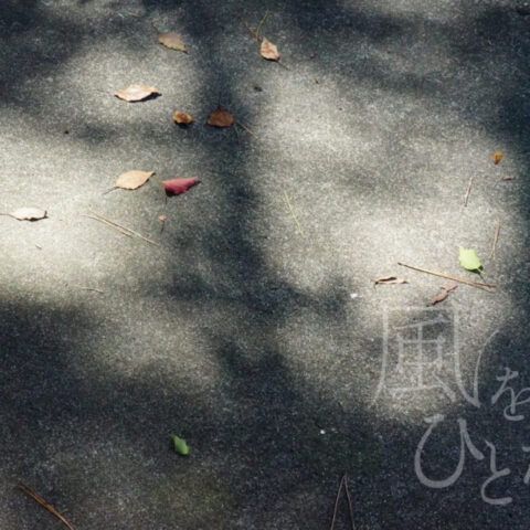 山田 哲也「無題 6」