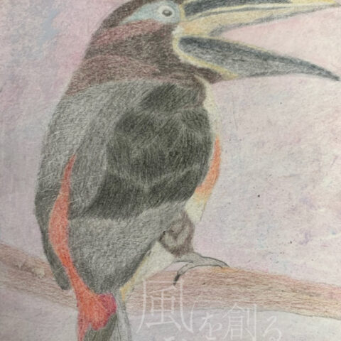 片山八雲「チャミミチュウハシ」