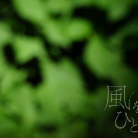 山田 哲也「無題 4」