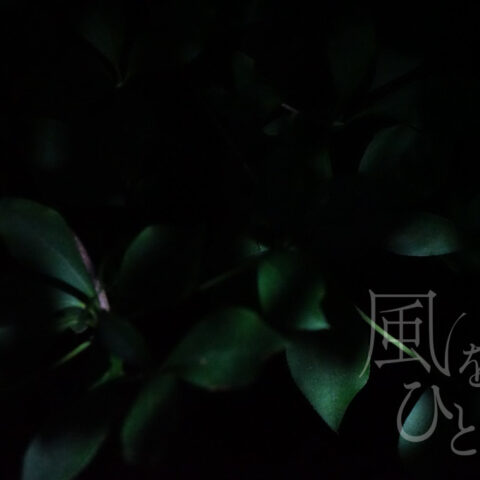 山田 哲也「無題 3」