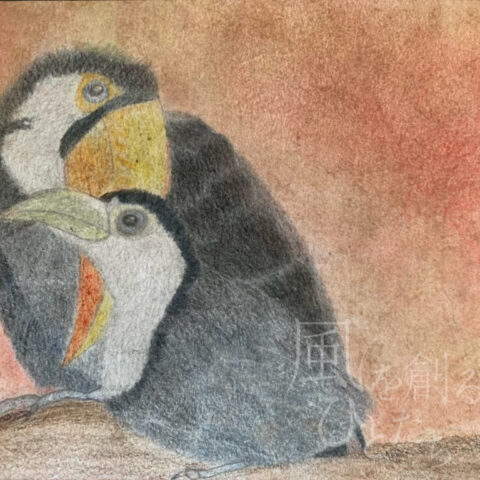 片山八雲「オオハシの親子」