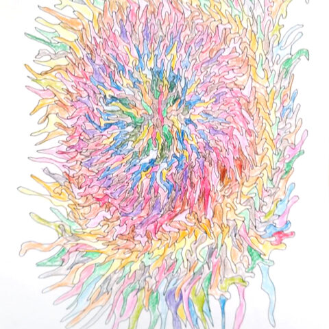 カオス(うごめく生命-いのち-　66)