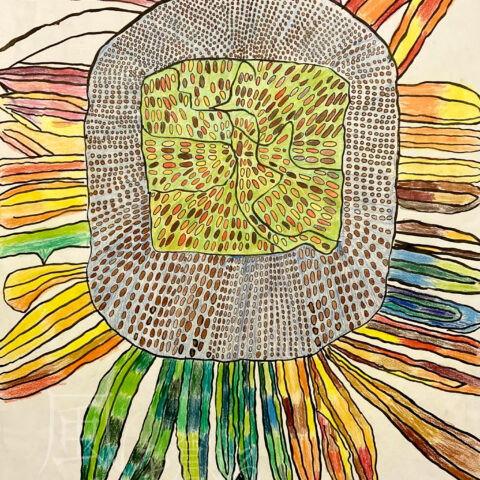 山本 侑雅「ひまわり」