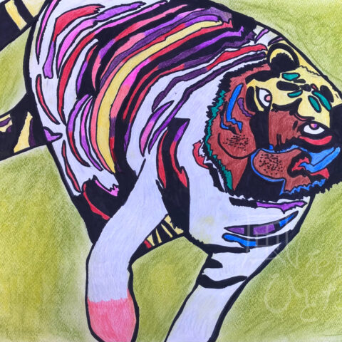 佐野 嵐美「Tiger」