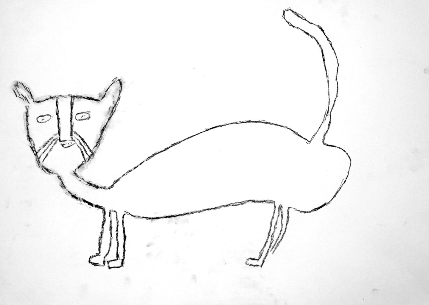 マルセロ ヒロユキ「cat」