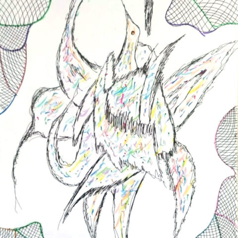 羽鳥　はちょう　57