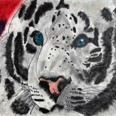 古屋 春祈「ホワイトタイガー」