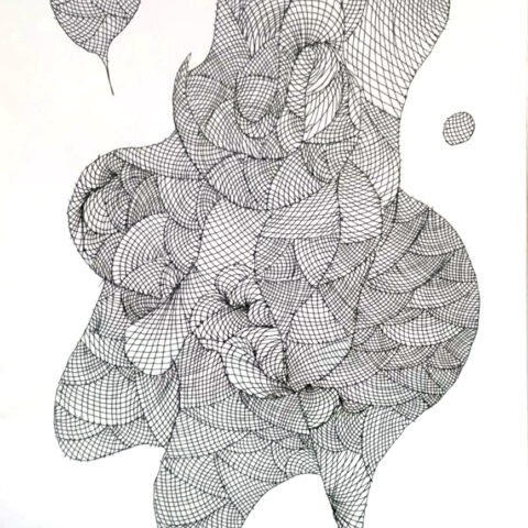 増殖(種子)　(しゅし)　59