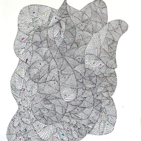 増殖(紅蓮)　ぐれん　57