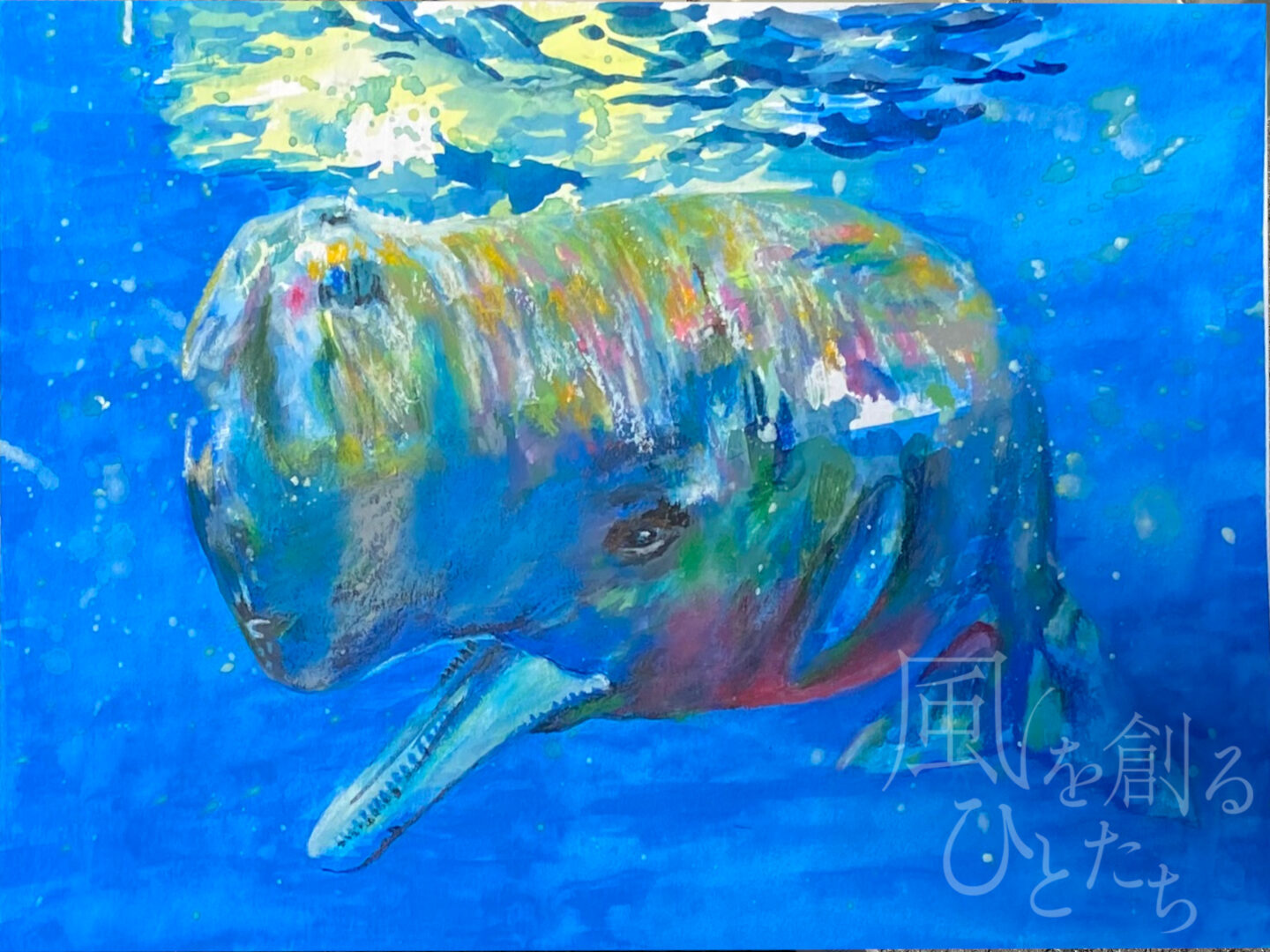 Kazuyuki「マッコウクジラ」