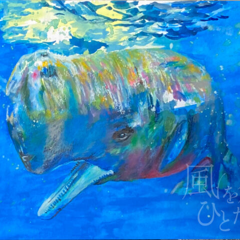 Kazuyuki「マッコウクジラ」