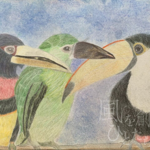 片山 八雲「ハシジロチュウハシ、 コシアカミドリチュウハシ、オニオオハシ」
