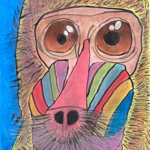 佐野 嵐美「マンドリル」