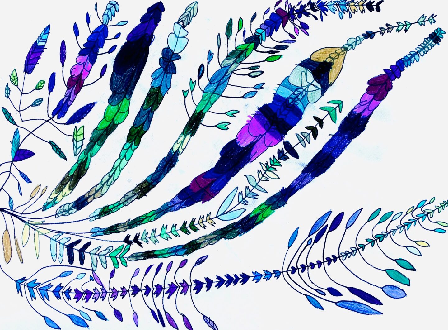 赤池 僚也「Flower」